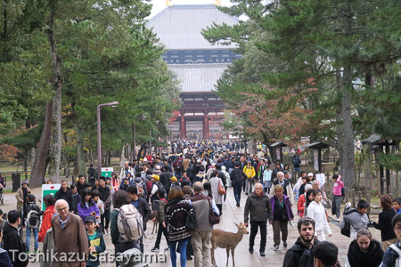 東大寺参道